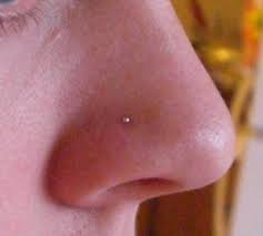 teardrop nose stud - hollydayco