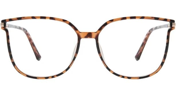 Cat Eye Eyeglasses
