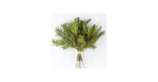 Amazon.com: Factory Direct Craft Artificial Cedar Pine Bundle of 6 Evergreen Stems Tied Together with a Jute Cord, Perfect Greenery for Christmas Holiday Decor and Year-Round Indoor or Outdoor Decorations! (12") :