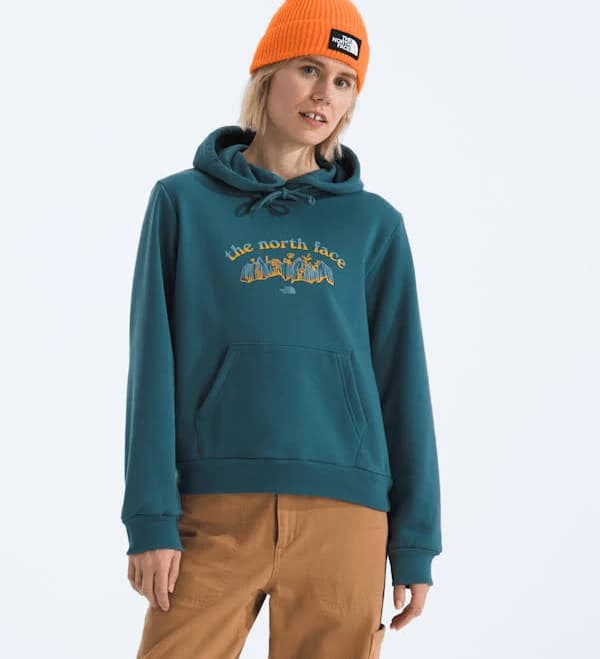 The North Face Women's Evolution Retro-Growth Graphic Hoodie