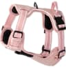 Video frame trigger