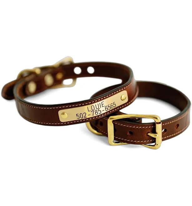 Nameplate Dog Collar