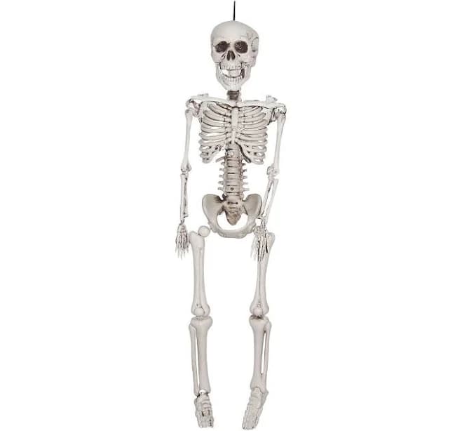 Spencer's 20 in Plastic Skeleton