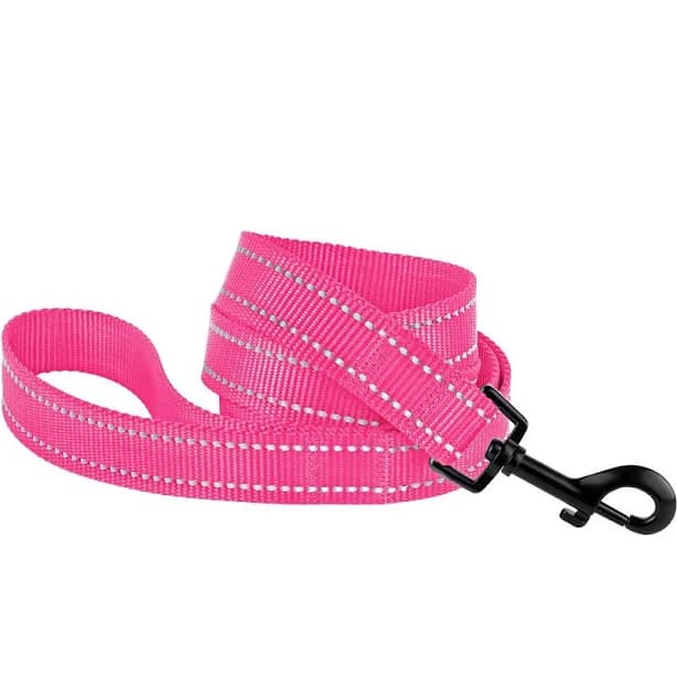 CollarDirect Reflective Nylon Dog Leash