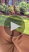 Video frame trigger