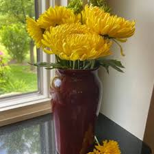 Fire Red Vase - Etsy