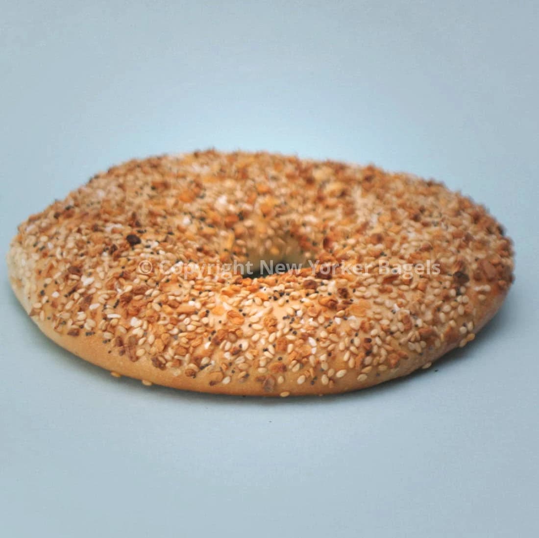 New Yorker Bagels Flat Bagels