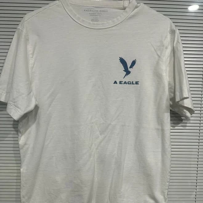 AE Men's Lightweight Icon Graphic T-Shirt