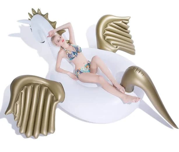 Jasonwell Giant Inflatable Pegasus Pool Float