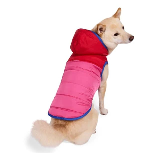 Youly Hooded Puffer Pet Jacket