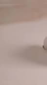 Video frame trigger