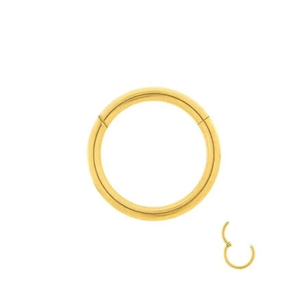 Agora Gold Plated Stainless Steel Septum Nose Ring