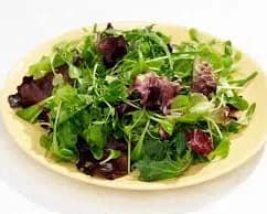Spring Green Salad - NYC Street Grill