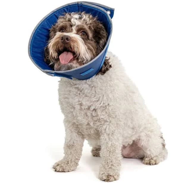 Calm Paws Basics Adjustable Caring Soft E-Collar