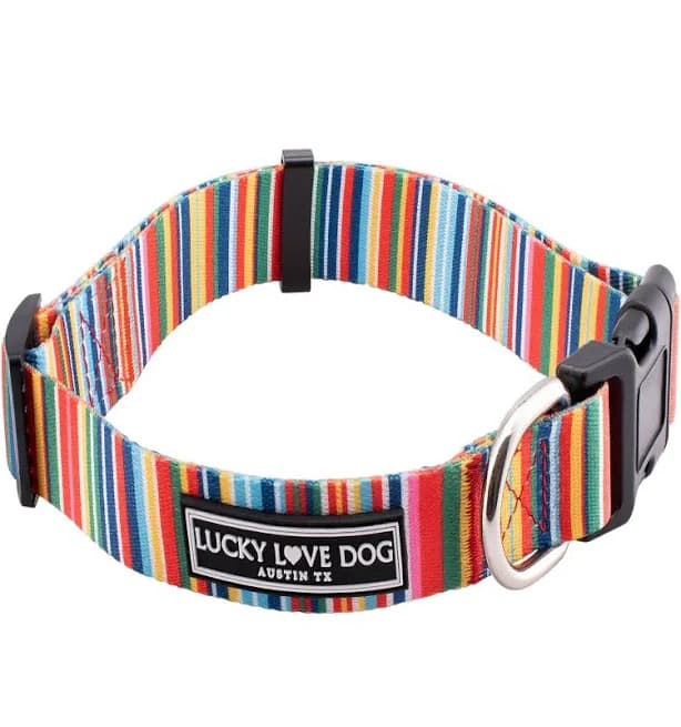 Hippie Dog Collar + Leash