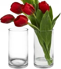 CYS Excel Glass Cylinder Vase