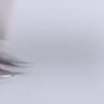 Video frame trigger