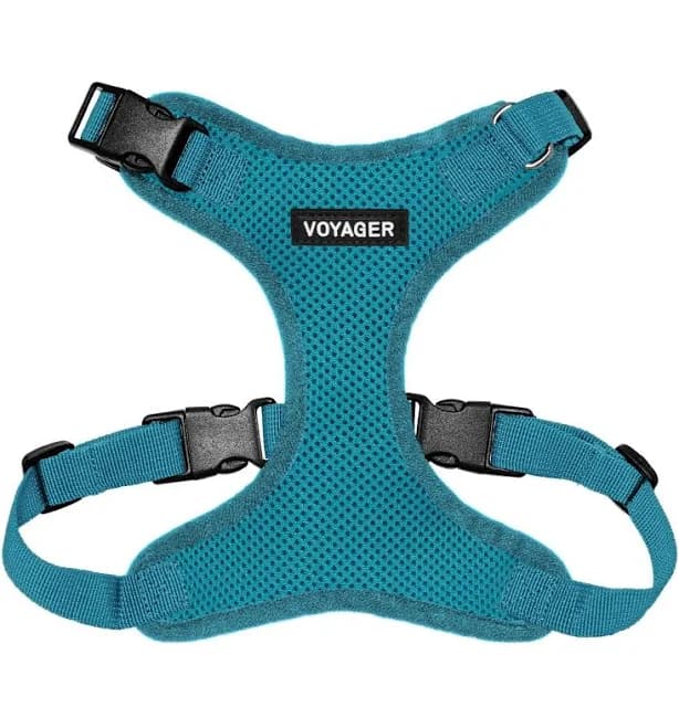 Step-in Lock Cat Harness