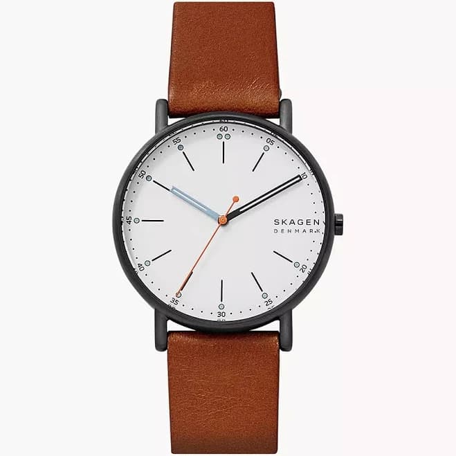 Skagen Men's Signatur Watch