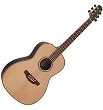 Takamine New Yorker Guitar