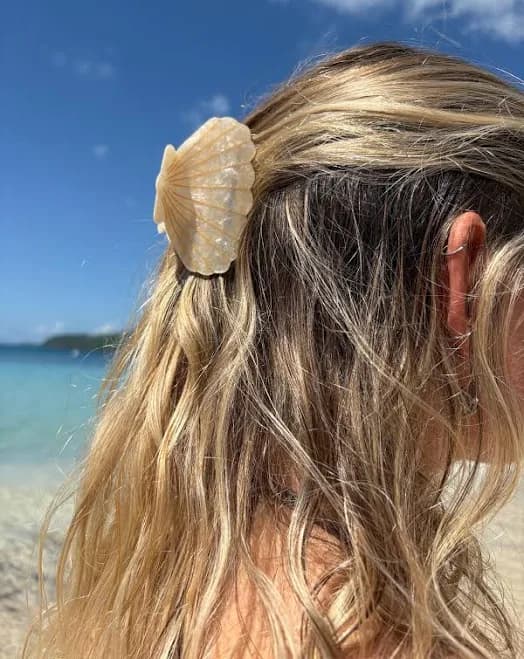 Shell Hair Claw Clip