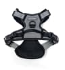 Video frame trigger