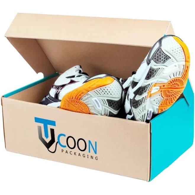 Cardboard Shoe Box