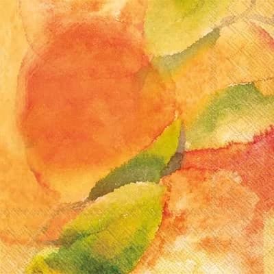 5" Square Clementine Beverage Napkins