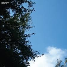 CAK055X Cloud Nothings - Turning On (10th Anniversary Edition) – Carpark Records