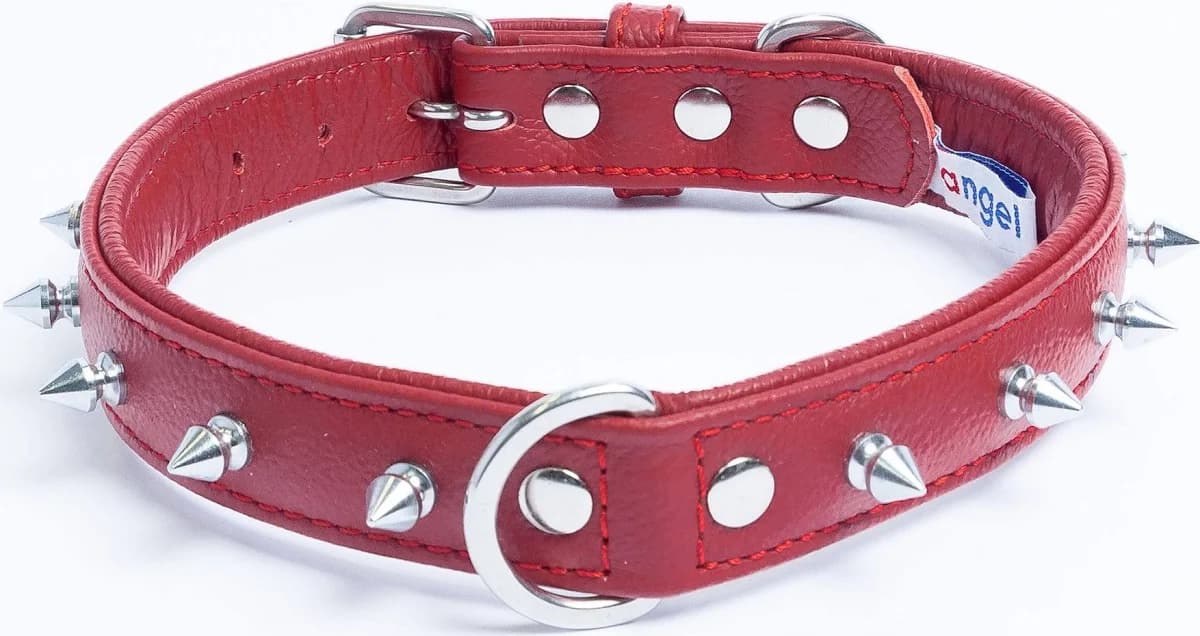 MUGLER Angel Rotterdam Spiked Dog Collar