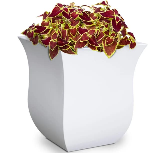 Mayne Valencia 16 in. Square Planter