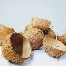 Coconut Shell Natural 100% Eco Ceylon Bowl Friendly Handmade Halves Organic | eBay