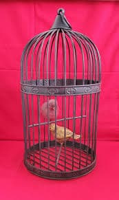 Charming Decorative Dome Shaped Metal Bird Cage With Two Birds - Etsy