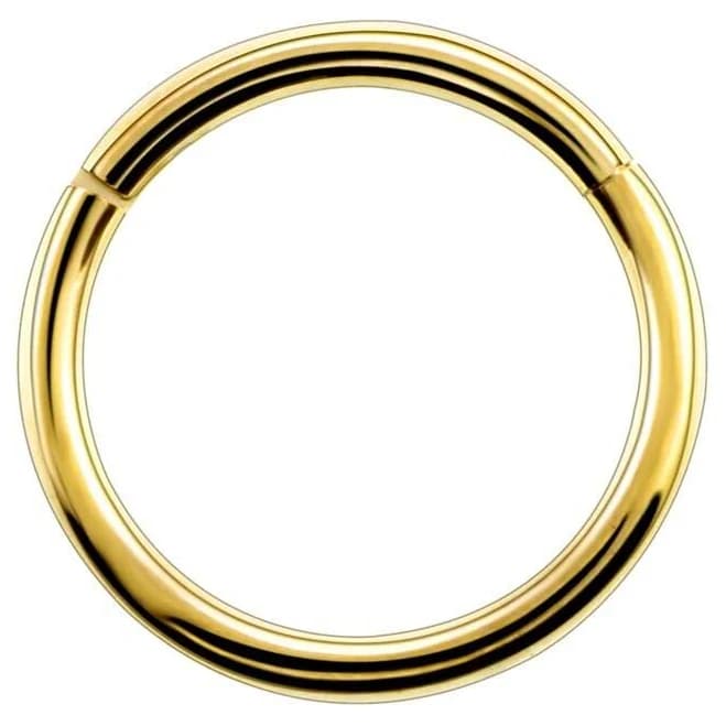16G Seamless Titanium Septum Ring