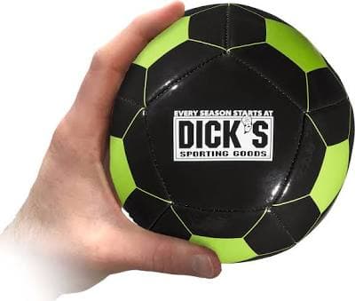 Dick's Sporting Goods Mini Soccer Ball
