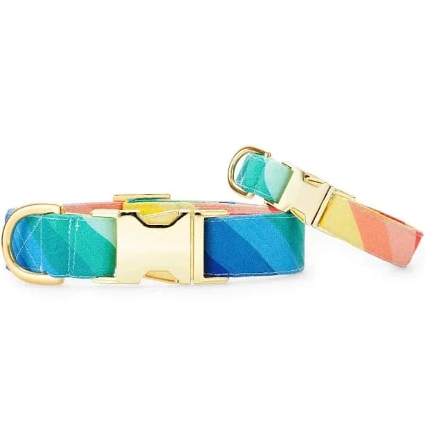 The Foggy Dog Collar Over The Rainbow