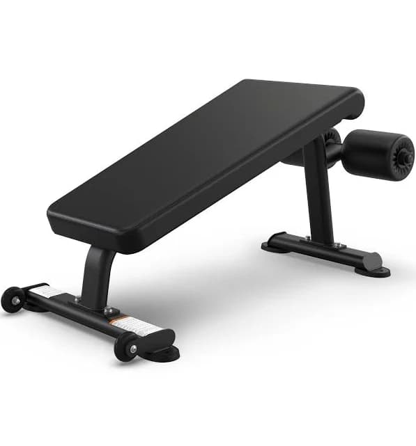 True Fitness Line FS-21 Abdominal Crunch Bench