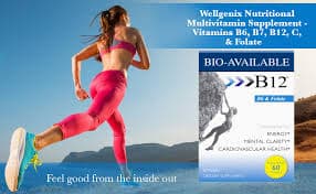 Amazon.com: Wellgenix Bio Available Daily Multivitamins (60 ct) - Focus Support Formula with Vitamins Methyl B12, B6, Folate & Biotin - Sublingual Energy & Diet Supplement for Immune & Overall Health :