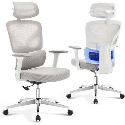 Acekool Ergonomic Office Chair