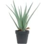 Video frame trigger