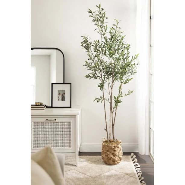 Oliveira Faux Olive Tree with Livia Woven Basket Primrue