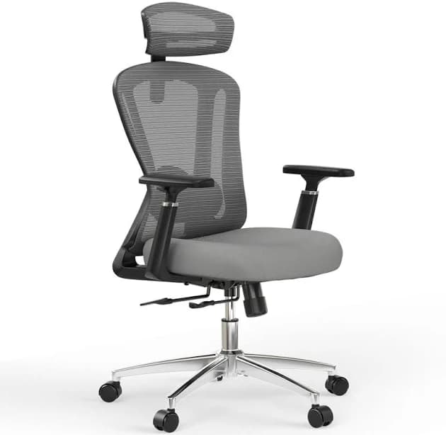 Ivy Bronx Mesh Office Chair