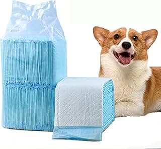 Care All-Absorb, 18" x 13", 100 Count, Dog and Puppy Training Pads, Ultra Absorbent and Odor Eliminating, Leak-Proof 5-Layer Training Pads with Quick-Dry Surface (S - 18 x 13 -(100 Count))