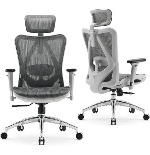 Sihoo M57 Ergonomic Office Chair