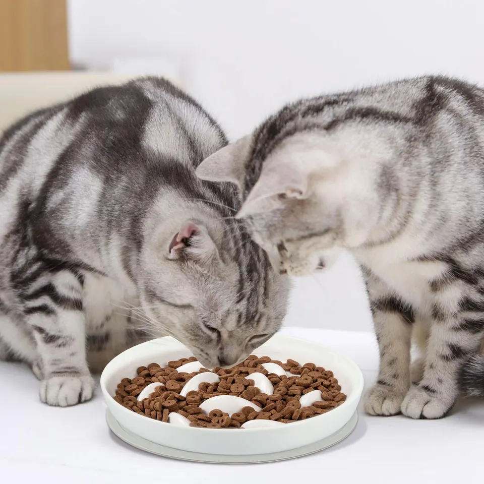 Cat Bowl Slow Feeder Non Slip Mat Raised Edge Pets Eating Anti Vomiting Ceramic Bowl Reusable Healthy Anti-choking - AliExpress
