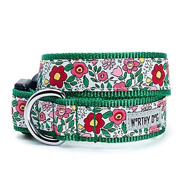 Spring Garden Dog Collar