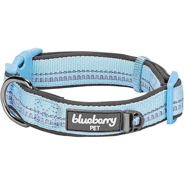 Blueberry Pet 3M Reflective Padded Dog Collar