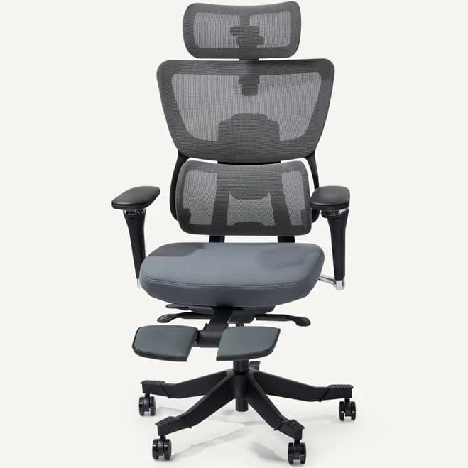 Flexispot C7 Max Ergonomic Office Chair