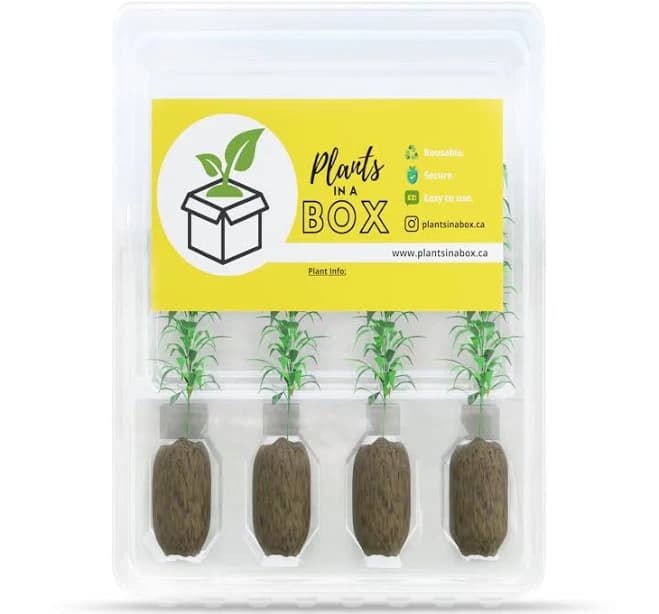 4 Plants Multi Pack Shipping Box