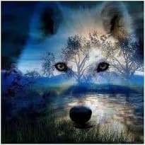 Wolf Animal Full Diamond Painting